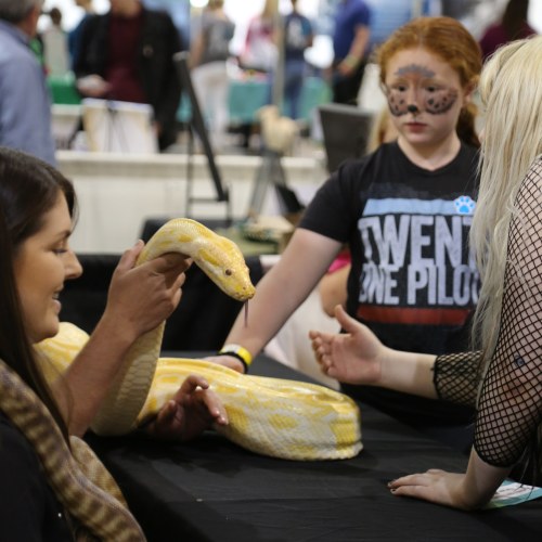 A woman holds a large snake while a girl with face paint watches, and another woman gestures nearby at an event.