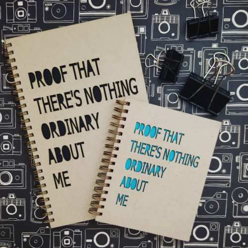 Two spiral notebooks with the text "Proof That There's Nothing Ordinary About Me" on a patterned background with paper clips.