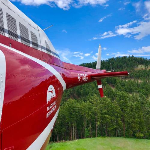 A red helicopter parked on a grassy area with trees and blue sky in the background.