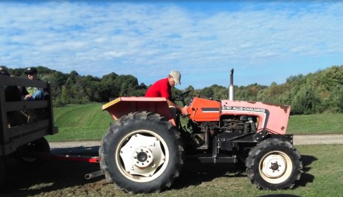 A person in a red shirt operates a vintage tractor on a sunny day, with green fields and trees in the background.