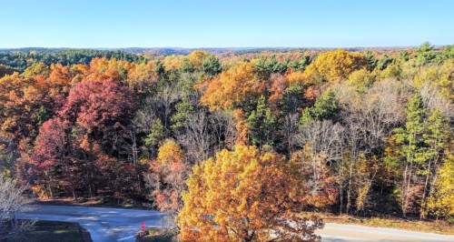 Vibrant autumn foliage with a mix of orange, red, and green trees under a clear blue sky.