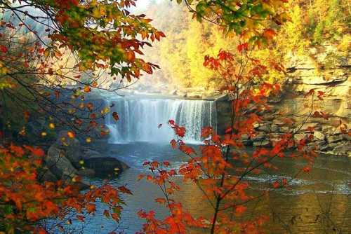 A serene waterfall surrounded by vibrant autumn foliage and calm waters.