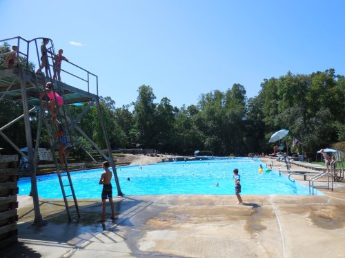 A sunny outdoor pool scene with children swimming, a diving board, and trees in the background.