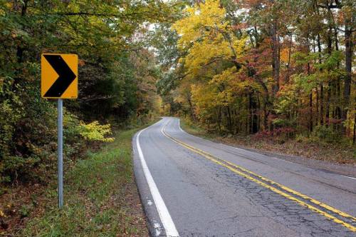 A winding road with a left turn sign, surrounded by trees displaying autumn colors.