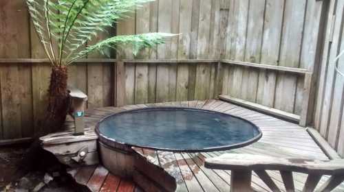 A wooden hot tub surrounded by a wooden fence and a large fern, creating a serene outdoor relaxation space.