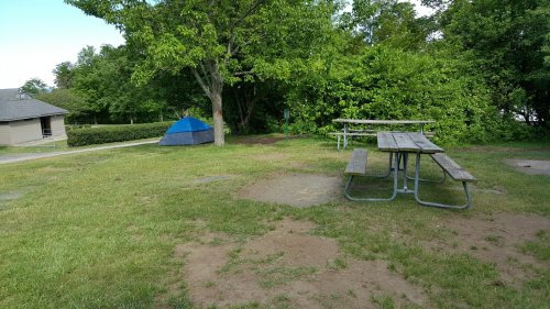 A grassy area with a blue tent, picnic tables, and trees in the background.