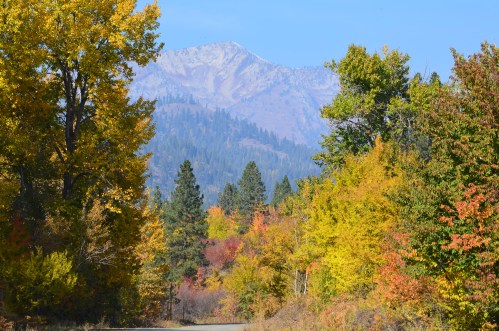 A scenic view of a mountain surrounded by vibrant autumn foliage and clear blue skies.