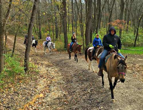 A group of people riding horses along a wooded trail in autumn.