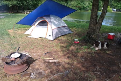 A campsite by a lake featuring a tent, a cooking fire, and a dog resting under a tree.