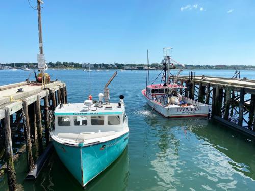 Two boats docked at a pier on a calm waterway, with a clear blue sky in the background.