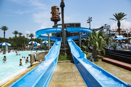 Two blue water slides beside a pool, with palm trees and umbrellas in a sunny water park setting.