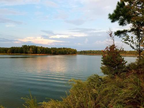 A serene lake surrounded by trees and greenery, reflecting a cloudy sky at sunset.