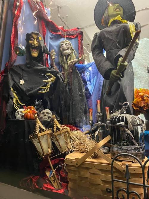 A spooky Halloween display featuring witches, skeletons, and eerie decorations in a shop window.