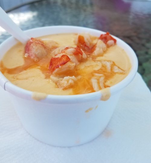 A cup of creamy lobster bisque topped with chunks of lobster and a drizzle of oil, resting on a napkin.
