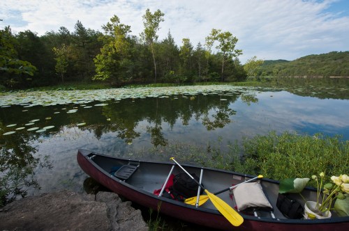 A canoe rests on the shore of a serene lake, surrounded by lush greenery and lily pads under a cloudy sky.