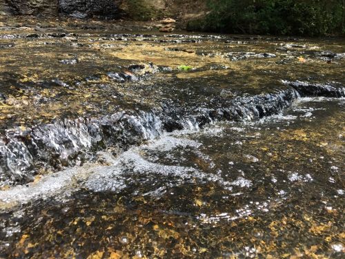 A close-up view of a gently flowing stream over rocky terrain, with clear water and small ripples.
