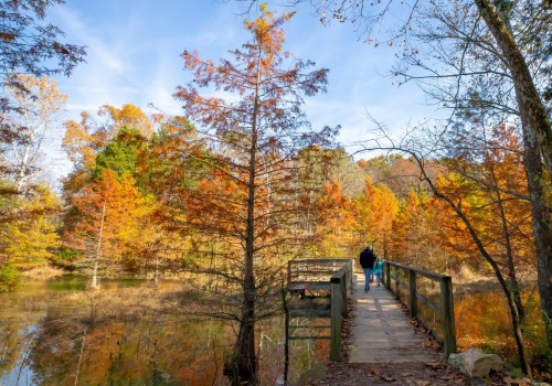 A person walks along a wooden bridge surrounded by vibrant autumn trees and a calm pond.