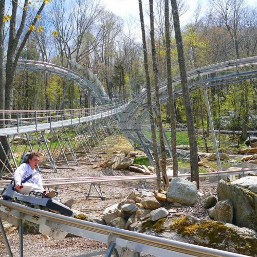 A person rides a mountain coaster through a wooded area, with tracks winding through trees and rocky terrain.