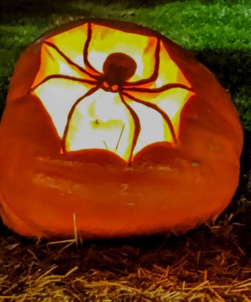 A carved pumpkin with a glowing spider design, set against a dark background.