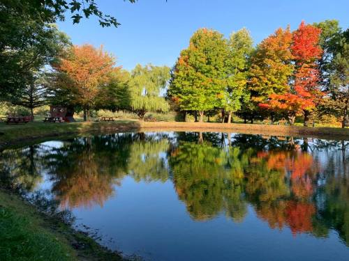 A serene pond reflecting colorful autumn trees under a clear blue sky.