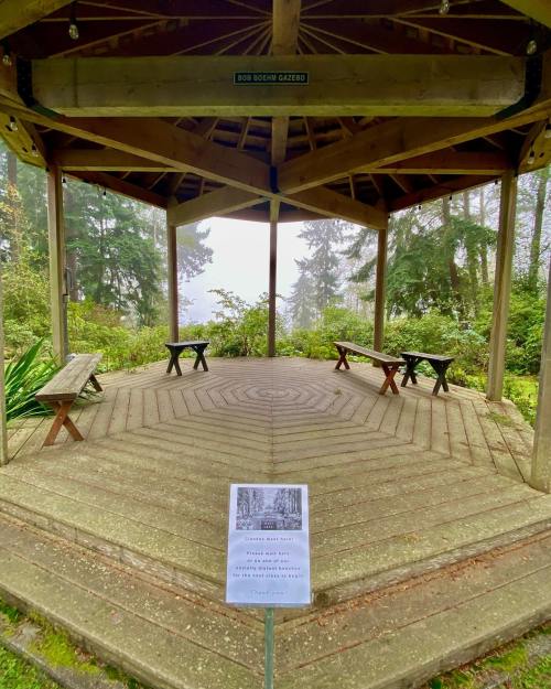 A wooden gazebo with benches, surrounded by trees and mist, featuring a sign on the floor.