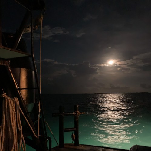 A serene night scene on the water, illuminated by a full moon, with a ship's railing in the foreground.