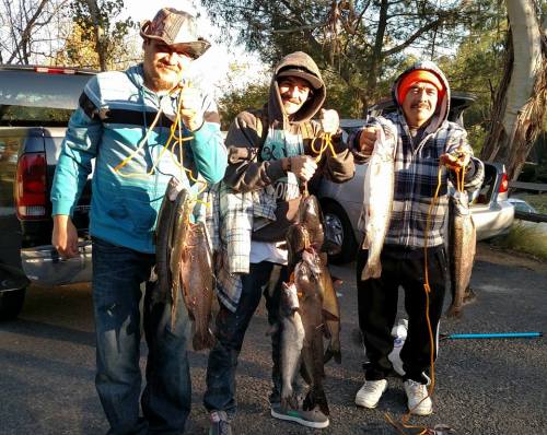 Three men proudly display their catch of fish, holding them up with smiles, near a parked truck in a wooded area.