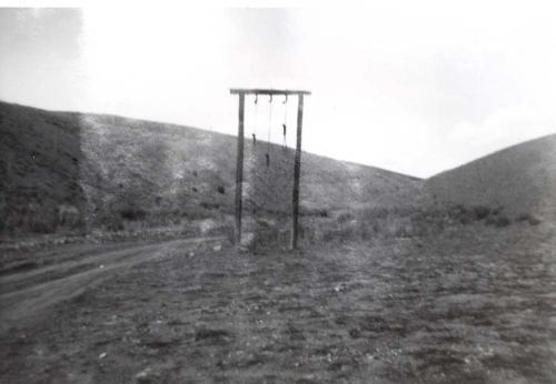 A desolate landscape featuring a wooden gallows on a dirt road, surrounded by hills under a cloudy sky.