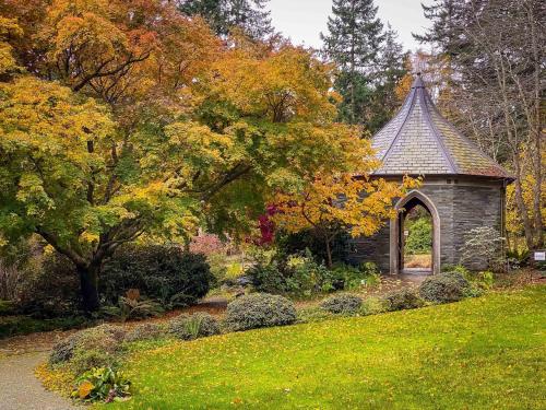 A quaint stone structure with a pointed roof surrounded by vibrant autumn foliage and lush greenery.