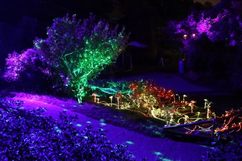 A vibrant garden illuminated with colorful lights, creating a magical nighttime atmosphere.
