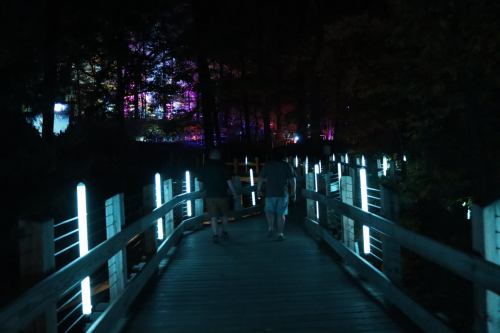 Two people walk along a lit wooden path at night, surrounded by colorful lights in the trees.
