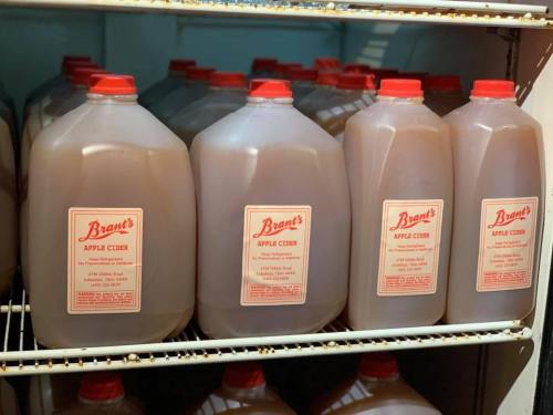 Several jugs of apple cider with red caps, labeled "Brant's," stored on a shelf in a refrigerator.