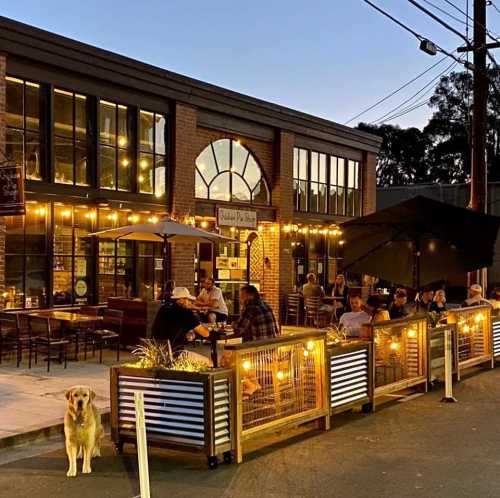 A cozy outdoor dining area with string lights, people enjoying meals, and a dog sitting by the entrance at dusk.