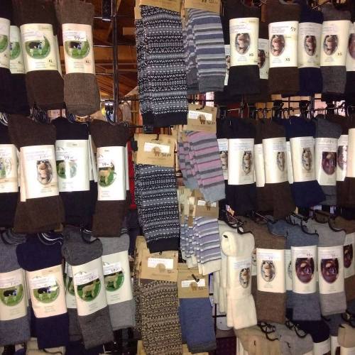 A display of various socks hanging on a rack, featuring different colors and patterns with tags attached.