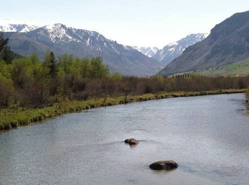 A serene river flows through a valley, surrounded by lush greenery and snow-capped mountains in the background.