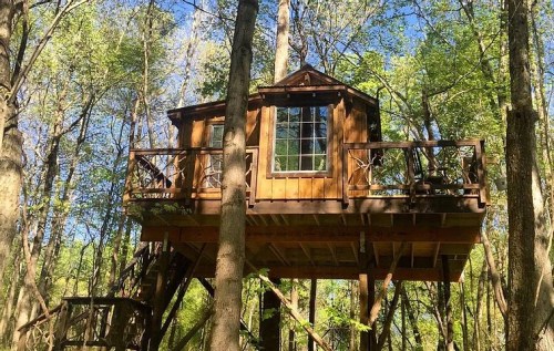 A wooden treehouse elevated among tall trees, surrounded by lush green foliage.