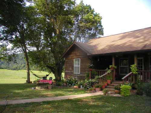 A cozy wooden house surrounded by greenery, with a porch, flower pots, and a hammock hanging from a tree.