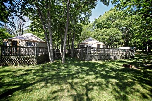 Two yurts surrounded by trees and a wooden deck, set in a grassy area under a clear blue sky.