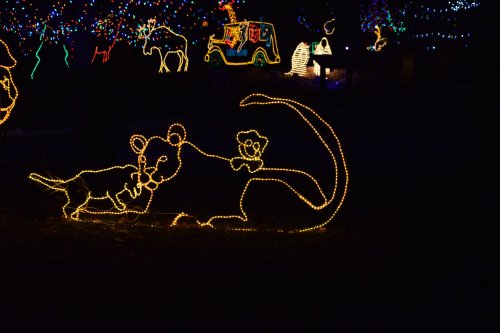 A glowing holiday light display featuring a lion and a cub playing together in a festive setting.