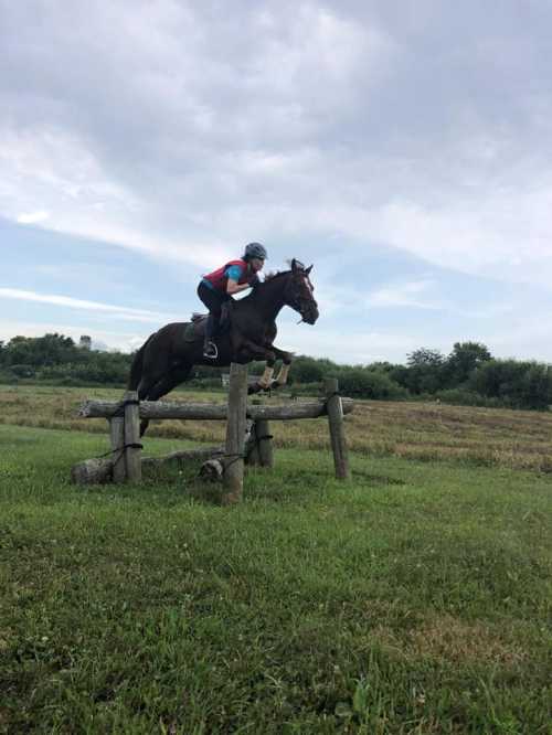 A rider on a brown horse jumps over a wooden fence in a grassy field under a cloudy sky.