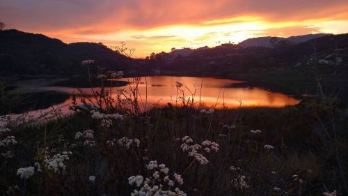 A serene sunset over a lake, with vibrant colors reflecting on the water and wildflowers in the foreground.