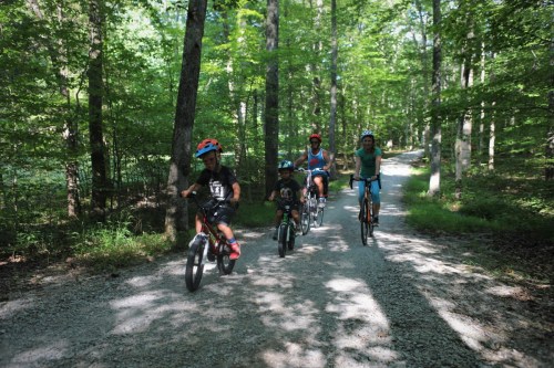 A family rides bicycles on a gravel path through a lush green forest. Sunlight filters through the trees.
