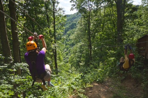Two people ziplining through a lush green forest, surrounded by trees and hills under a clear blue sky.