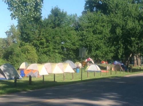 A row of colorful tents set up on a grassy area near a road, surrounded by trees and greenery.