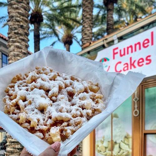 A hand holding a plate of funnel cake dusted with powdered sugar, with palm trees and a funnel cake stand in the background.