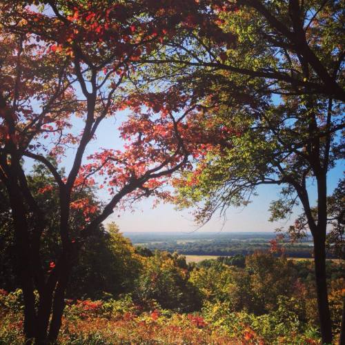 A scenic view of colorful autumn trees framing a landscape with rolling hills and a clear blue sky.