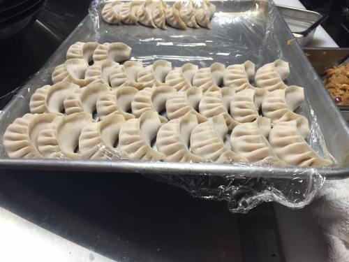 A tray of uncooked dumplings arranged neatly, covered with plastic wrap, ready for cooking.