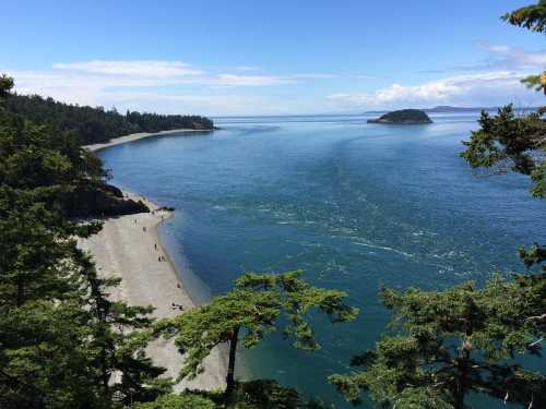 A scenic view of a calm bay surrounded by trees, with a sandy beach and a small island in the distance.