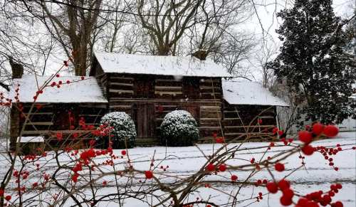 A snowy scene featuring a rustic log cabin surrounded by red berries and bare trees.
