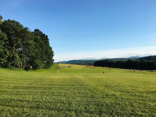 A wide, green field stretches under a clear blue sky, bordered by trees and distant mountains.
